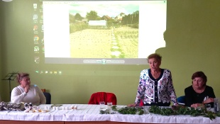 Prednáška na tému: Sila liečivých rastlín
