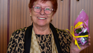 MDŽ - DC Laborecká