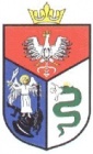 Sanok